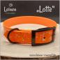 Preview: Hundehalsband LOTTE